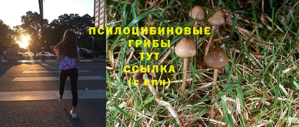 ГАЛЛЮЦИНОГЕННЫЕ ГРИБЫ Абинск